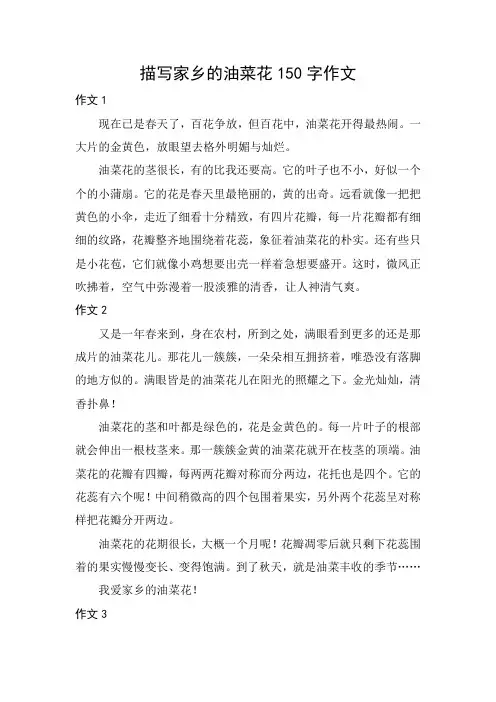 描写家乡的油菜花150字作文