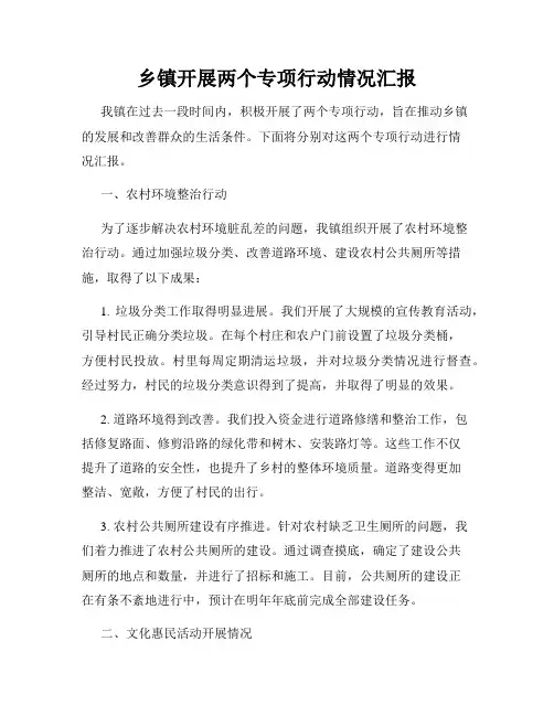 乡镇开展两个专项行动情况汇报