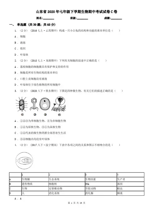 山东省2020年七年级下学期生物期中考试试卷C卷
