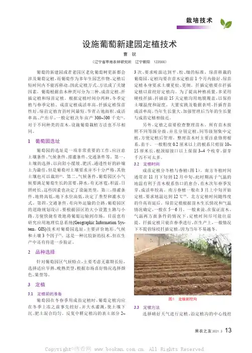 设施葡萄新建园定植技术