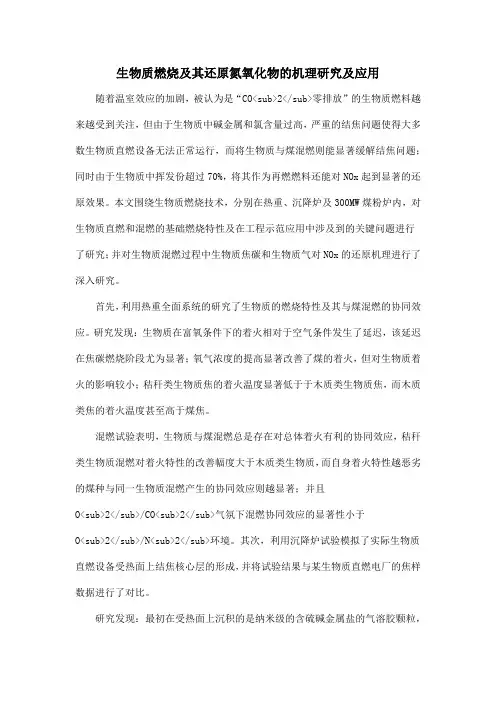 生物质燃烧及其还原氮氧化物的机理研究及应用