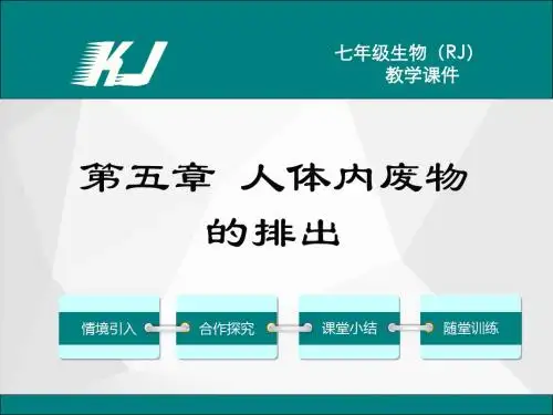 人教版七年级生物下册第五章  人体内废物的排出 教学课件