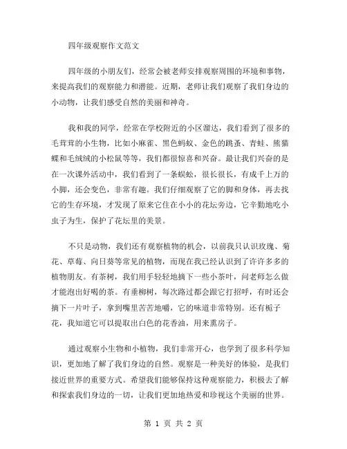 四年级观察作文范文