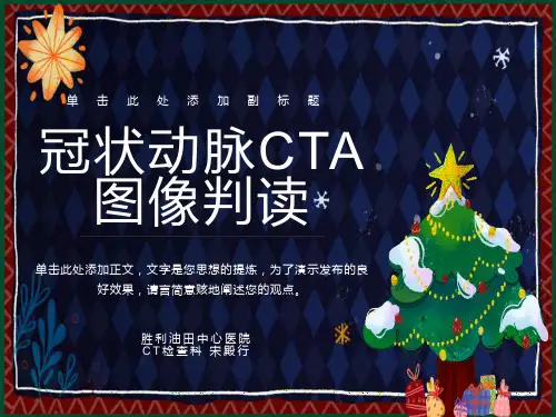 冠状动脉CTA图像判读
