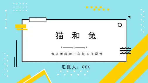 青岛版科学三年级下册课件猫和兔PPT模板
