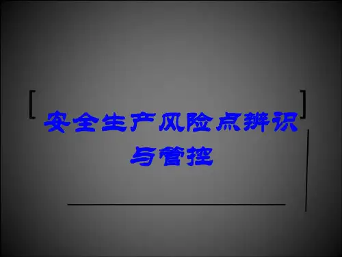 安全生产风险点辨识与管控-2022年学习资料