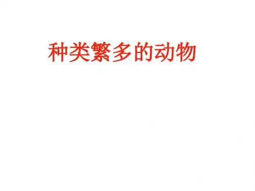种类繁多的动物