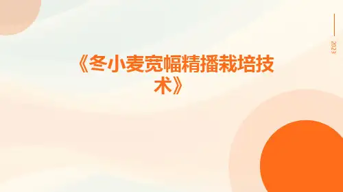 冬小麦宽幅精播栽培技术