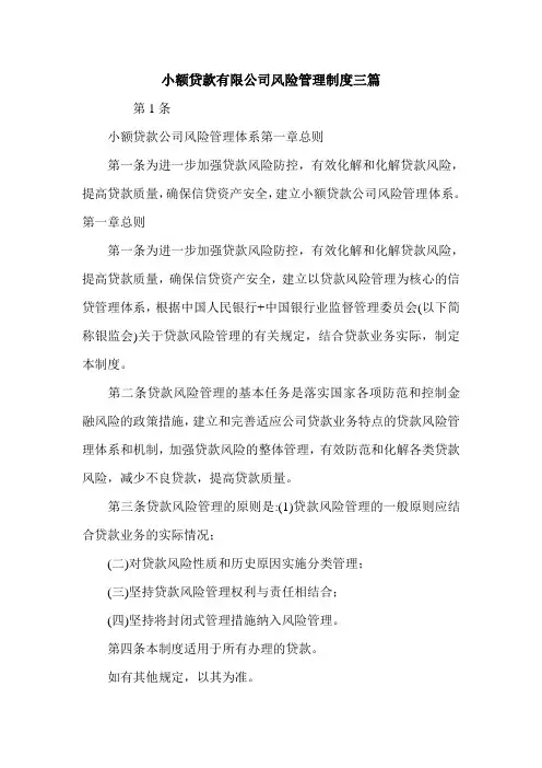 小额贷款有限公司风险管理制度三篇.doc