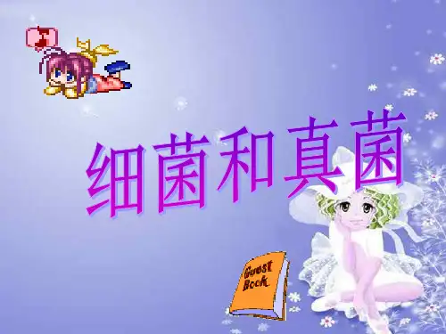 细菌和真菌(PPT课件(初中科学)17)