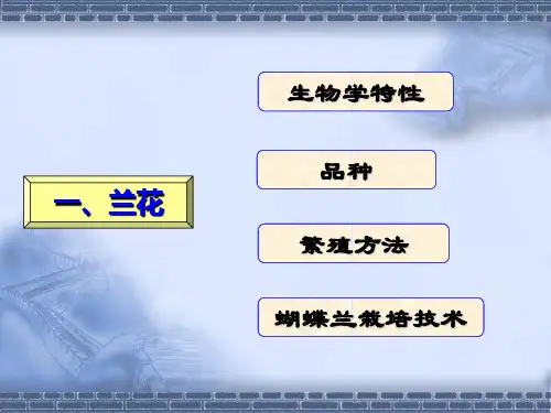 几种花卉的基质栽培资料