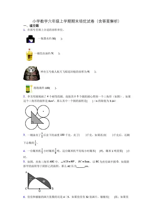 小学数学六年级上学期期末培优试卷(含答案解析)
