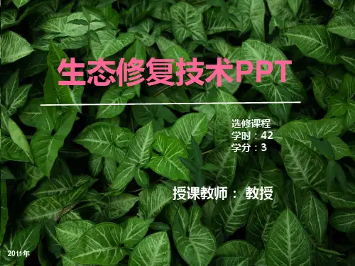 生态修复技术PPT课件