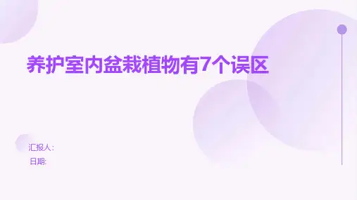 养护室内盆栽植物有7个误区