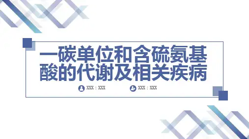 一碳单位和含硫氨基酸的代谢及相关疾病