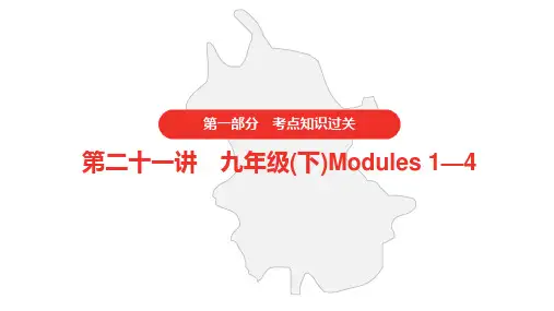 外研版初中英语中考 第21讲 九年级(下)Modules 1—4