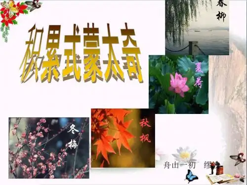 初中作文 作文指导积累式蒙太奇PPT优秀课件(15张)
