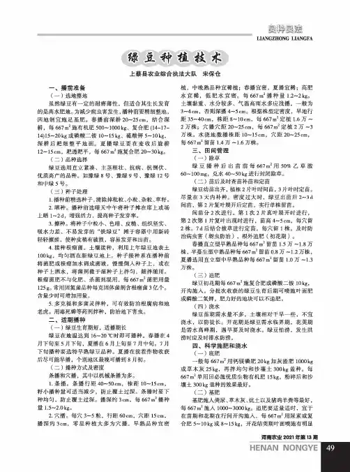 绿豆种植技术