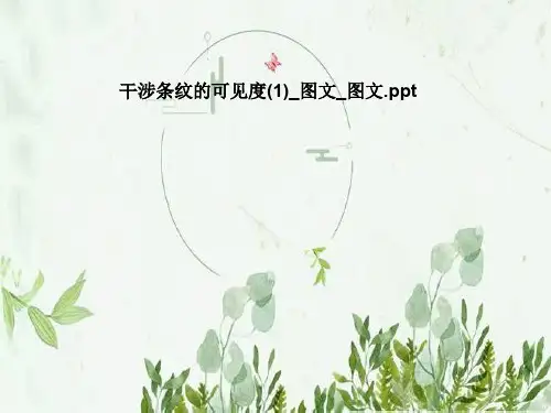 干涉条纹的可见度(1)_图文_图文