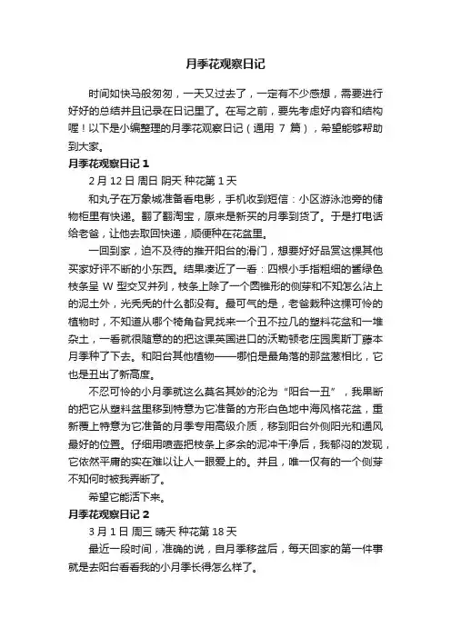 关于月季花观察日记（通用7篇）