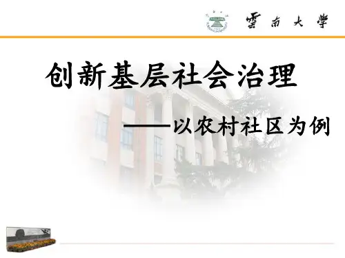 基层社会治理 PPT课件