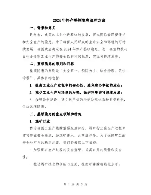 2024年停产整顿隐患治理方案