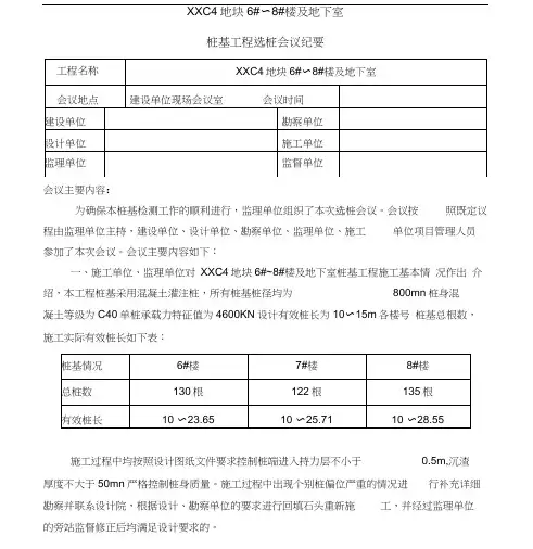 桩基检测会议纪要
