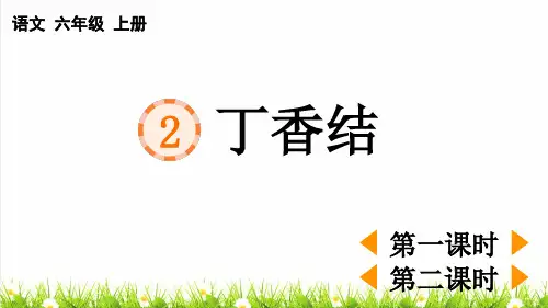 人教部编版语文六年级上册第一单元第2课《丁香结》PPT课件