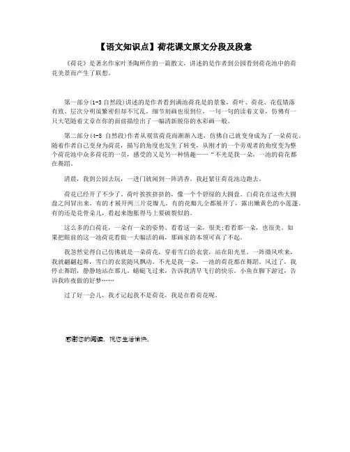 【语文知识点】荷花课文原文分段及段意