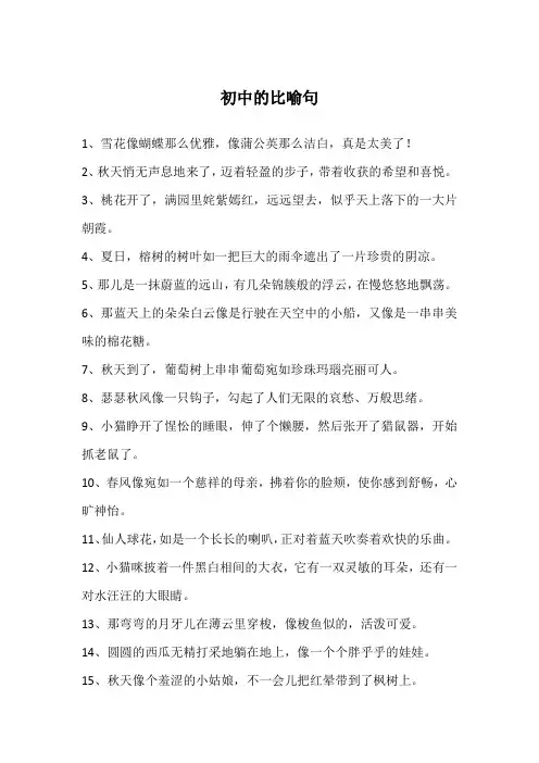 初中的比喻句