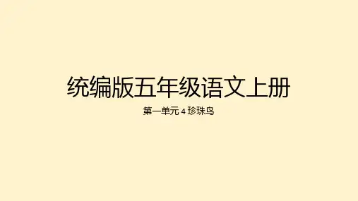 珍珠鸟ppt课件