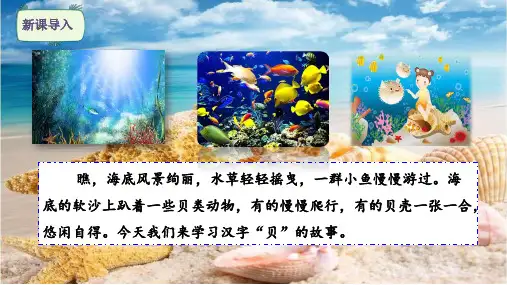 二年级语文下册识字3“贝”的故事课件(共40张PPT)
