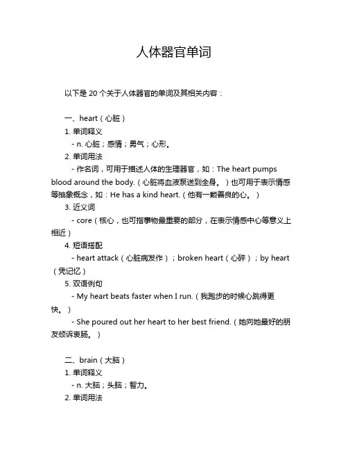 人体器官单词