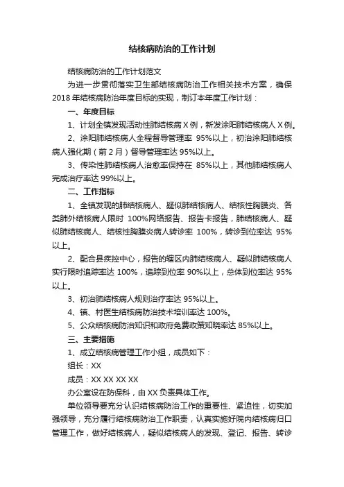 结核病防治的工作计划范文