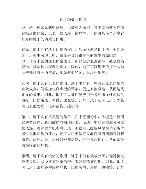 地丁功效与作用