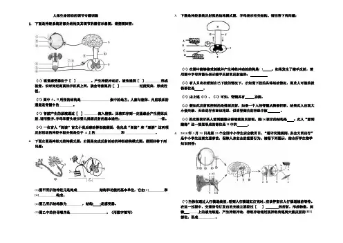 济南版七下生物第五章人体生命活动的调节专题训练-识图题(无答案)