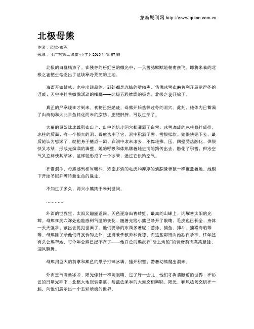 北极母熊