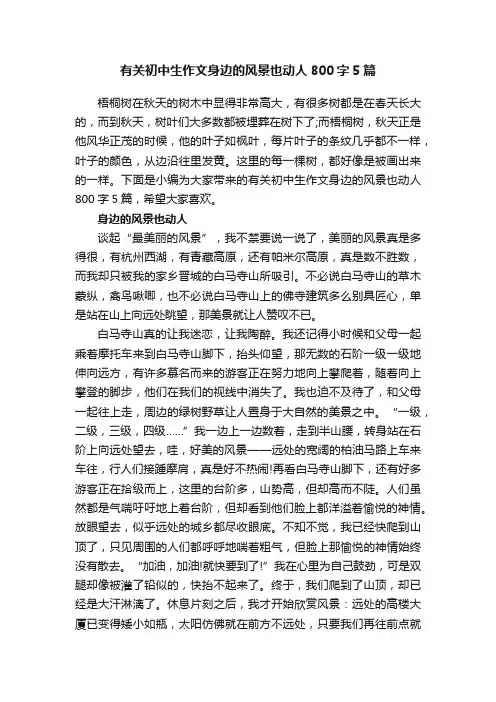 有关初中生作文身边的风景也动人800字5篇