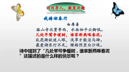 人教版八年级下册生物 第七单元第一章 第四节 鸟的生殖和发育ppt（39张PPT）