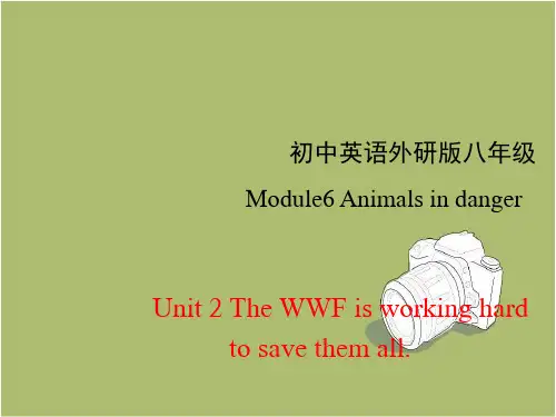 外研版八年级英语上Module6 Unit2课件