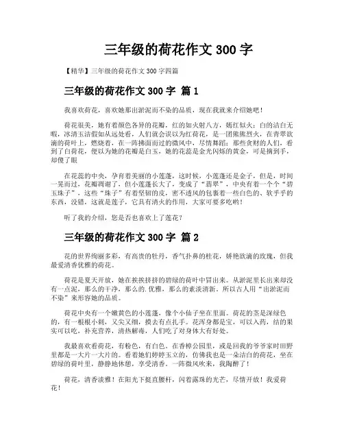 三年级的荷花作文300字