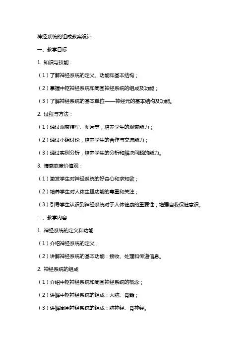 神经系统的组成教案设计