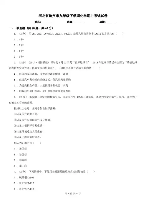 河北省沧州市九年级下学期化学期中考试试卷