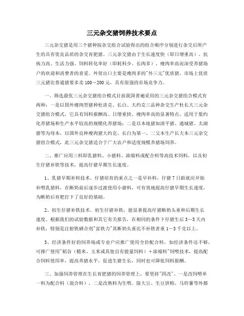 三元杂交猪饲养技术要点