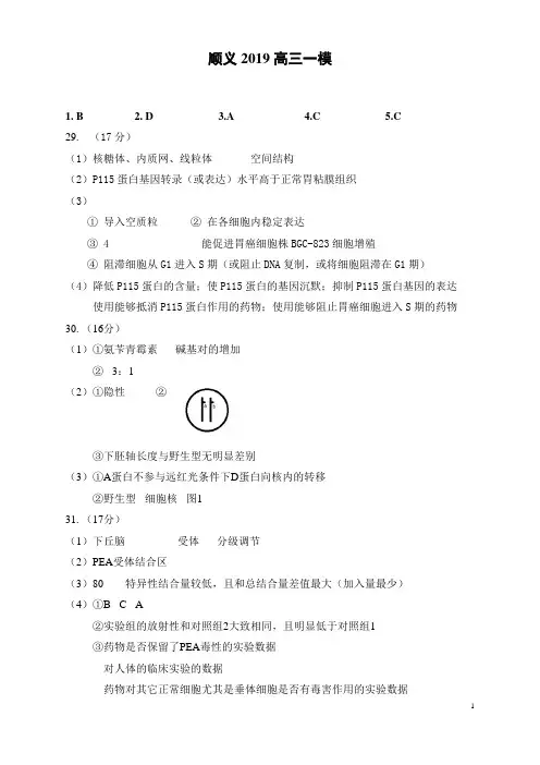 高三生物2019顺义一模考试答案北京