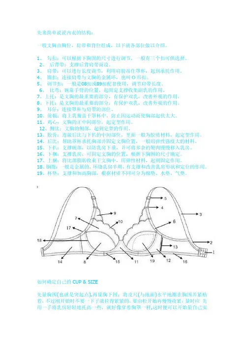 Bra使用手册