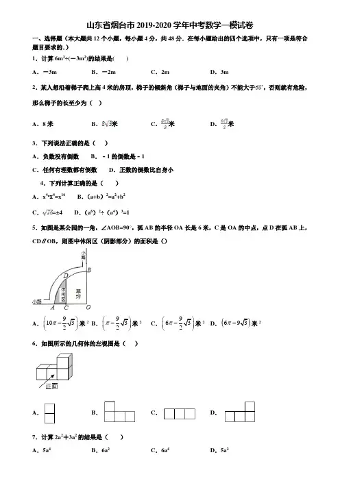 【附5套中考模拟试卷】山东省烟台市2019-2020学年中考数学一模试卷含解析