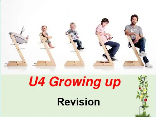 「精品」九年级英语上册Unit4Growingup复习课件牛津版-精品资料