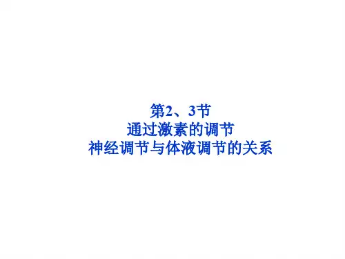 神经调节与体液调节的关系ppt课件