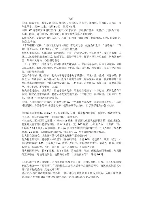当归